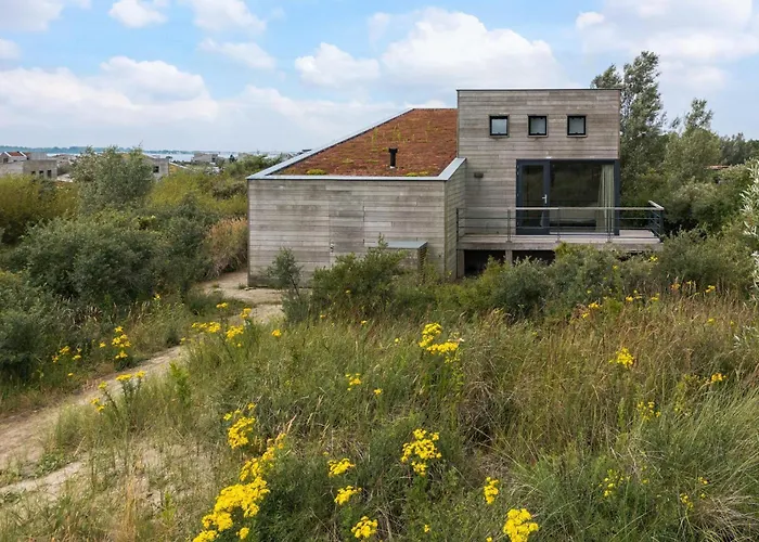 Super Vip - 4p - Uitzicht Op De Duinen - 50 Villa *